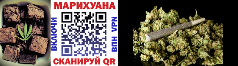 где найти наркотики  Шенкурск  гидра ССЫЛКА  Еда ТГК конопля 