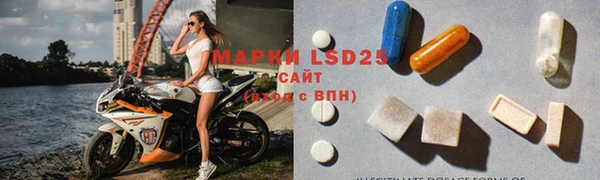 индика Бронницы