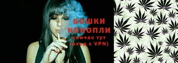 прущий лед Бородино