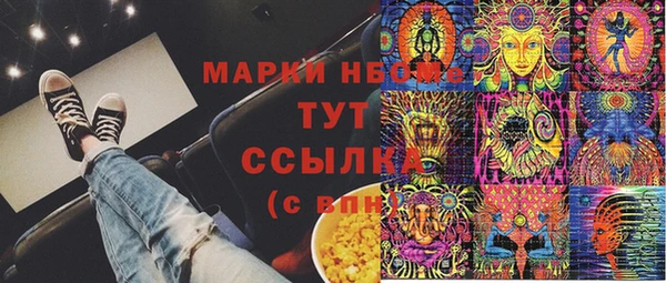 индика Бронницы
