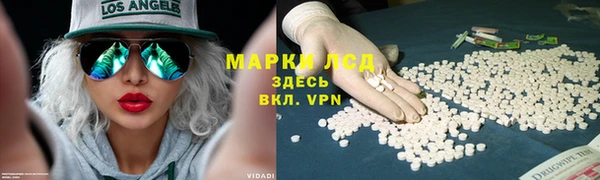 индика Бронницы
