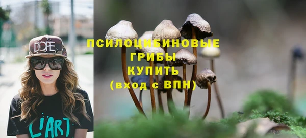 прущий лед Бородино