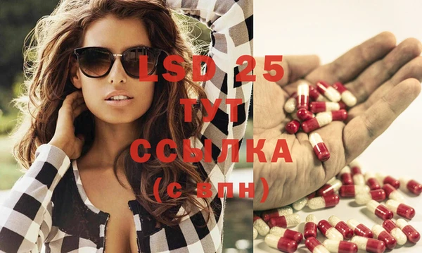 индика Бронницы