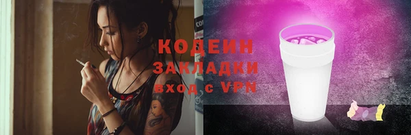 индика Бронницы