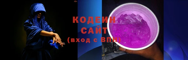 индика Бронницы