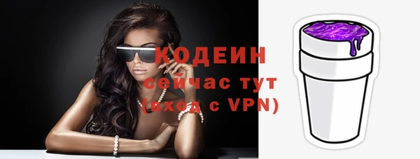 прущий лед Бородино