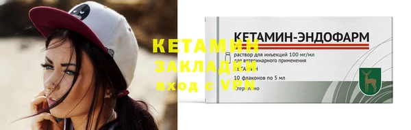 индика Бронницы