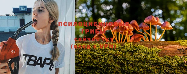 прущий лед Бородино