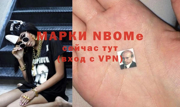 индика Бронницы