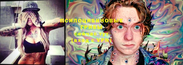 индика Бронницы