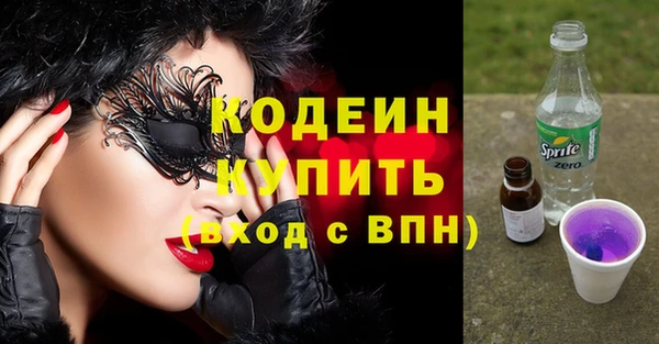 индика Бронницы