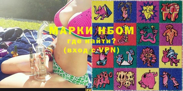 индика Бронницы