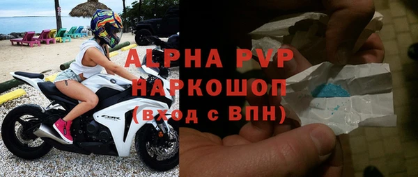 прущий лед Бородино