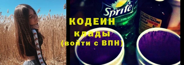 прущий лед Бородино