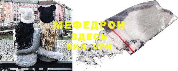 индика Бронницы