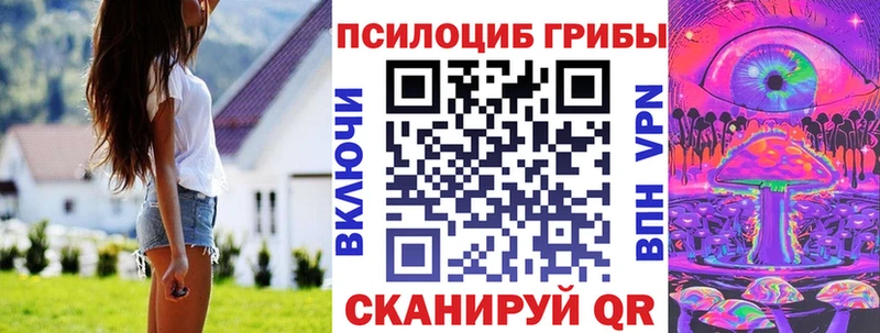хочу Шенкурск Галлюциногенные грибы GOLDEN TEACHER