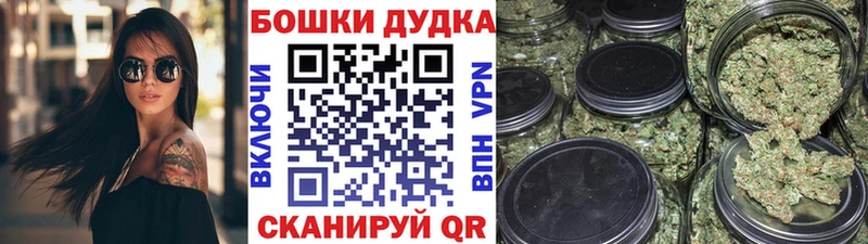 Шишки марихуана OG Kush  hydra сайт  Шенкурск 